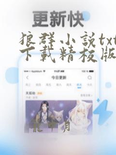 狼群小说txt下载精校版