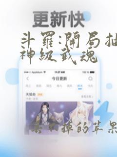 斗罗:开局抽到神级武魂