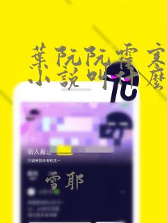 叶阮阮霍寒枭的小说叫什么名字