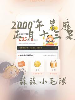 2000年农历正月十三是什么命