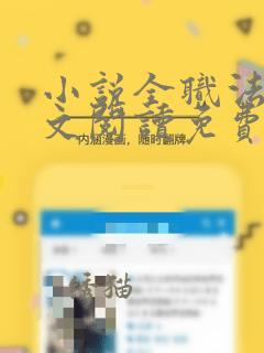 小说全职法师全文阅读免费