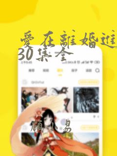 爱在离婚进行时30集全