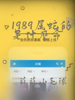 1989属蛇的是什么命