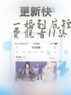 一婚到底短剧免费观看11集