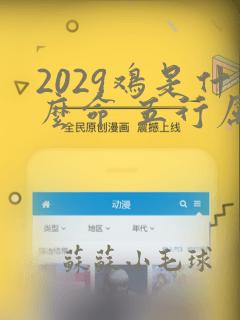 2029鸡是什么命 五行属什么