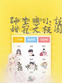 师生恋小说言情甜宠文校园