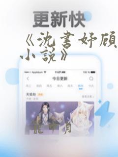 《沈书妤顾怀瑾小说》