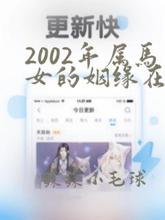 2002年属马女的姻缘在哪年