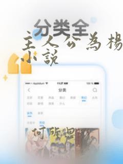 主人公为杨凡的小说