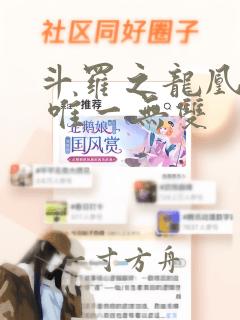 斗罗之龙凰传说 唯一无双