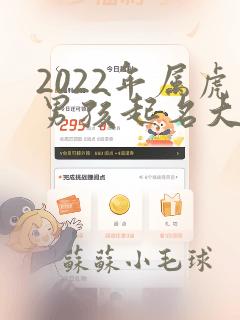 2022年属虎男孩起名大全