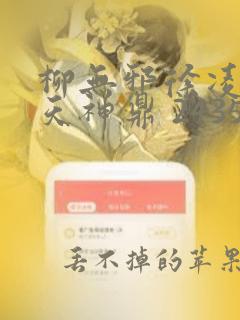 柳无邪徐凌雪吞天神鼎 2435