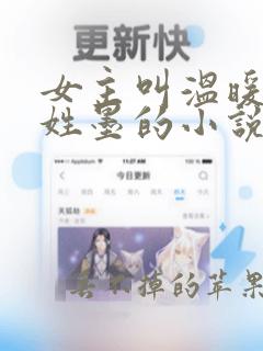 女主叫温暖男主姓墨的小说