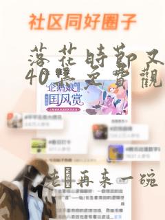 落花时节又逢君40集免费观看