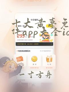 十大黄台免费软件app大全ios