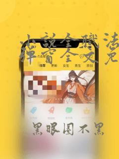 小说全职法师无弹窗全文免费阅读