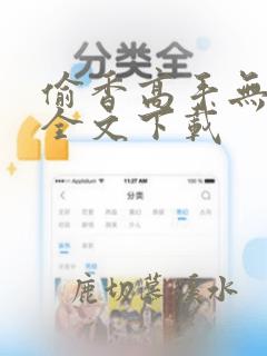 偷香高手无删减全文下载