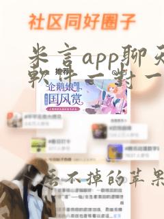 米言app聊天软件一对一