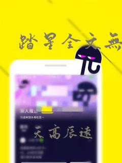 踏星全文无删减