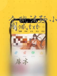 全职法师小说无删减txt