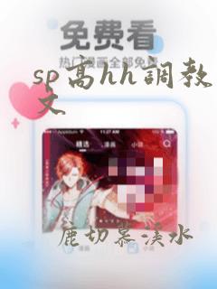 sp高hh调教文