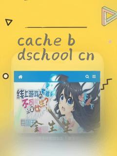 cache bdschool cn