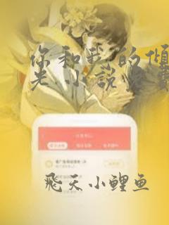 你和我的倾城时光 小说免费