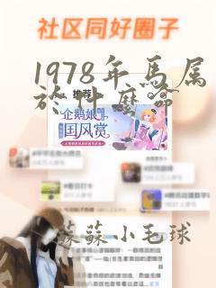 1978年马属于什么命