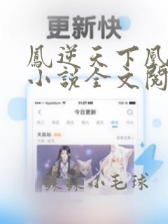 凤逆天下凰北月小说全文阅读