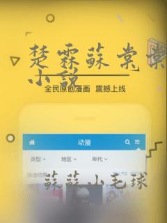 楚霖苏棠棠全文小说