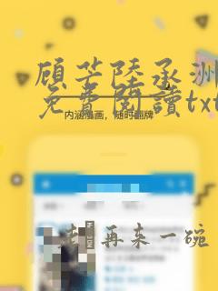 顾芒陆承洲全文免费阅读txt