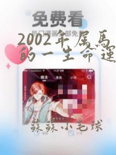 2002年属马的一生命运如何