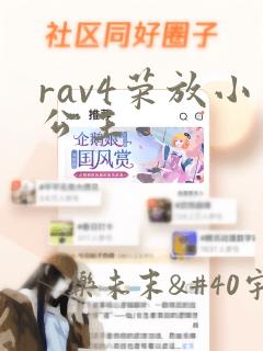 rav4荣放小公主