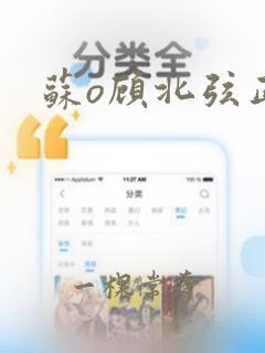 苏o顾北弦正版