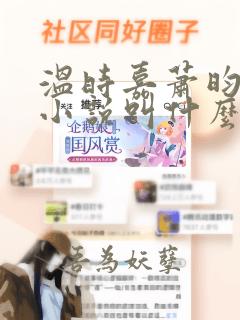 温时嘉萧昀原著小说叫什么