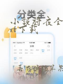 小说将夜全本txt下载