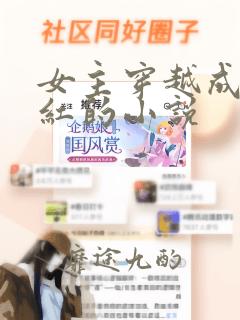 女主穿越成杨九红的小说