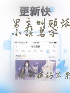 男主叫顾烨曦的小说名字