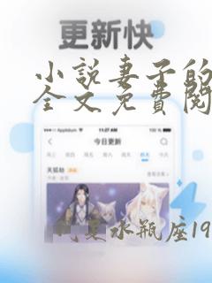 小说妻子的秘密全文免费阅读全文