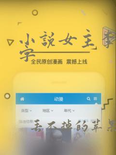 小说女主李姓名字