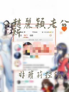 赵丽颖老公林更新