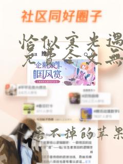 恰似寒光遇骄阳免费全文无弹窗