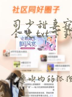 司少甜妻宠定了全文txt下载