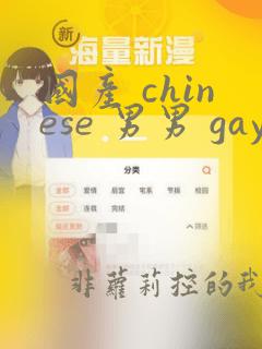 国产 chinese 男男 gay gay 网站