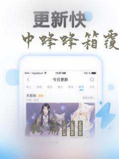 中蜂蜂箱覆布