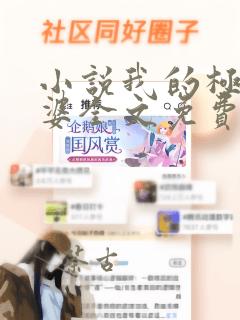 小说我的极品老婆全文免费阅读