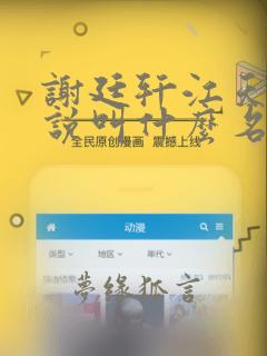 谢廷轩江天婉小说叫什么名字