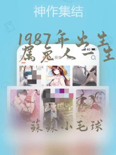 1987年出生属兔人一生的命运