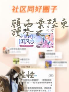 顾西棠陆东淮阅读全文