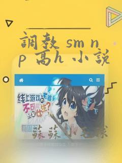 调教 sm np 高h 小说